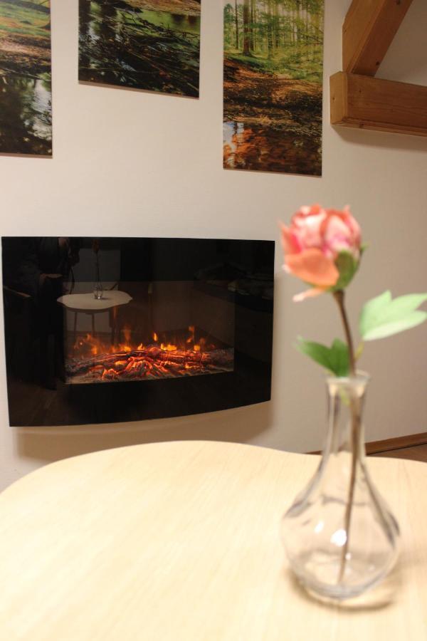 Hoheneich Homew4 - Apartment Sonnenschein מראה חיצוני תמונה